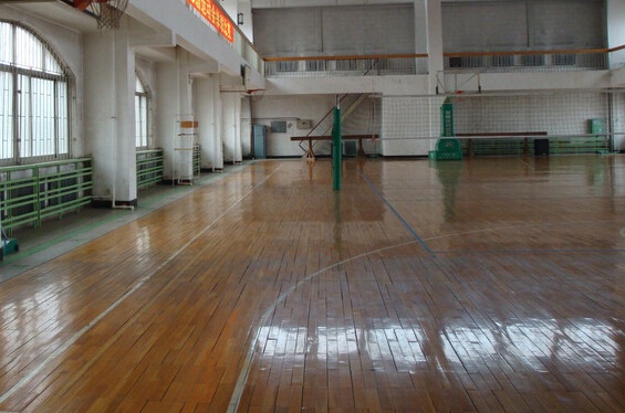 體育木地板 體育木地板