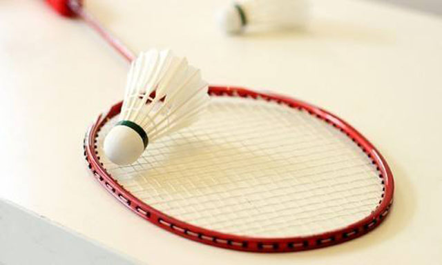 羽毛球館專用木地板