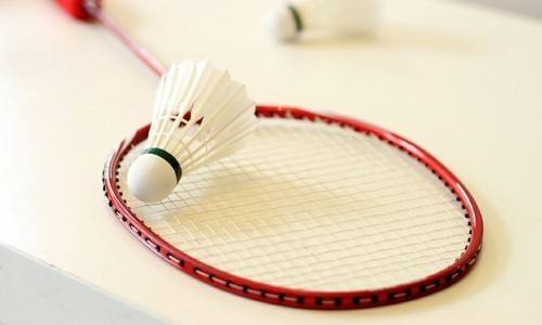 羽毛球館專用木地板