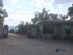 普通運動體育木地板施工工藝