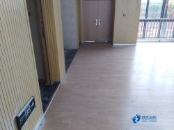 懸浮籃球場館地板施工隊