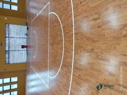 柞木籃球體育地板維護保養