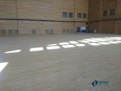 有哪些運動場地板安裝公司