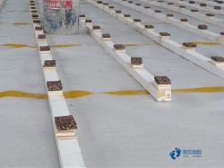 俄勒岡松舞臺運動場木地板哪個牌子環(huán)保