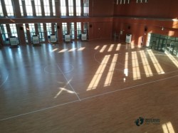 松木舞臺木地板哪個牌子比較好