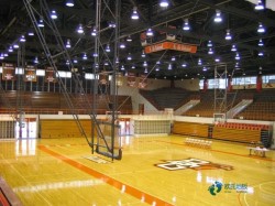 雙層龍骨運(yùn)動(dòng)體育地板廠家報(bào)價(jià)