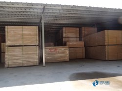 專業(yè)運(yùn)動(dòng)場(chǎng)木地板施工單位