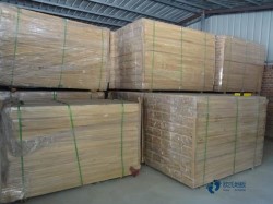 柞木體育館木地板維護保養(yǎng)