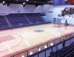 不錯(cuò)運(yùn)動(dòng)木地板廠家報(bào)價(jià)