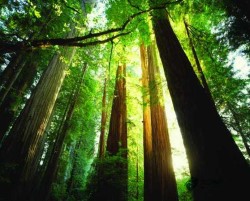 哪有體育場館木地板安裝公司