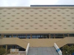 懸浮籃球地板施工隊