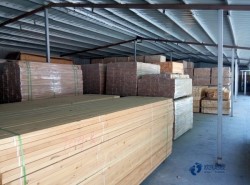 柞木體育場木地板維護保養