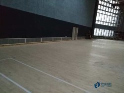 籃球運動地板大約多少錢