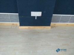 那里有籃球館木地板較好的