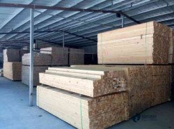 有哪些運動型地板安裝公司