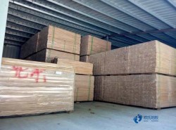 室內(nèi)體育運(yùn)動(dòng)地板施工團(tuán)隊(duì)