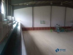 柞木體育運動木地板保養