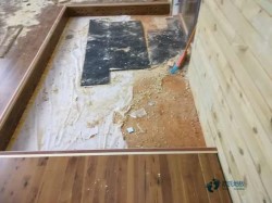 實(shí)木運(yùn)動(dòng)體育木地板保養(yǎng)