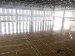 購買松木舞臺體育場地板哪種牌子好