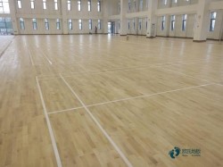 有哪些體育運(yùn)動(dòng)木地板保障