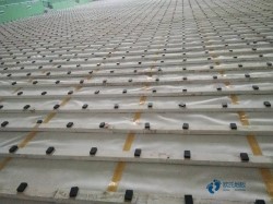 籃球木地板生產廠