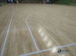 體育木地板較低價格