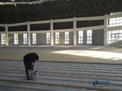 常見運(yùn)動(dòng)木地板環(huán)保嗎