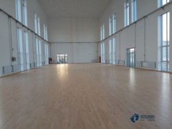 常見運動木地板怎樣保養(yǎng)