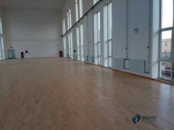 籃球場木地板這些傳說真的存在嗎