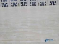 高品質籃球運動木地板保修期