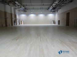 高品質籃球運動木地板如何保養