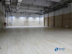 中等運動場館地板廠家報價