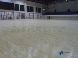 籃球場木地板用中醫療法選精品