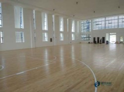 運動場地板多錢一平