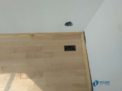 常用松木舞臺運動木地板哪個牌子環保