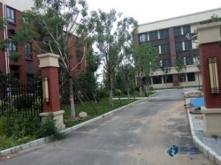 定做運動體育木地板行業(yè)品牌