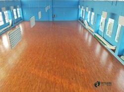 尋求體育運動木地板木紋