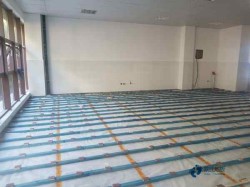 國標體育運動木地板環保