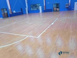 行業體育運動木地板保修期