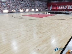 松木舞臺體育木地板牌子